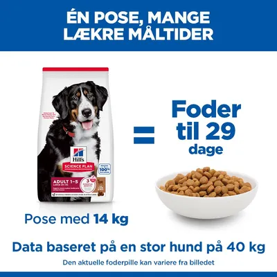 Hill's Science Plan Adult 1-5 Large Lam & Ris