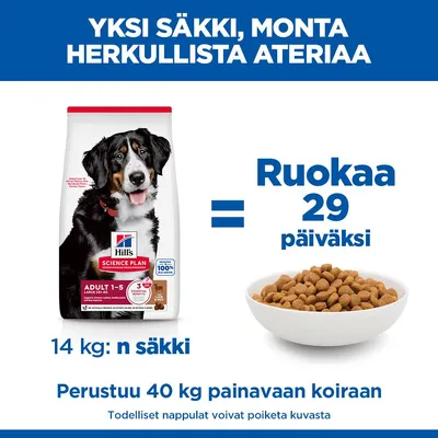 Hill's Science Plan Adult 1-5 Large Breed Lamb & Rice