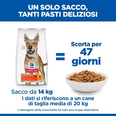 Hill's Science Plan Adult 1+ Performance con Pollo