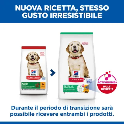 Hill's Science Plan Puppy <1 Large con Pollo