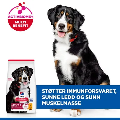 Hill's Science Plan Adult 1-5 Large med kylling