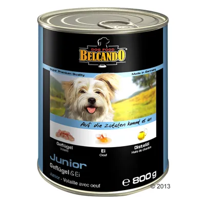 Boîte de nourriture pour chien Belcando Junior Volaille & œuf 800 g, ingrédients visibles : volaille, œuf, huile de chardon. Texte en allemand et français sur l’étiquette.