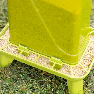 Green feeder with seeds on a meadow, suitable for automatic feeding of birds or small animals.