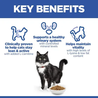 Hill's Science Plan Mature Adult Sterilised с курицей