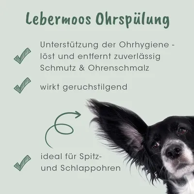 Lebermoos Ohrspülung: Unterstützung der Ohrhygiene, löst und entfernt zuverlässig Schmutz & Ohrenschmalz, wirkt geruchstilgend, ideal für Spitz- und Schlappohren.