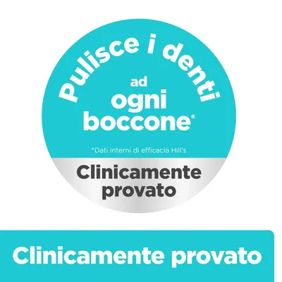 Hill's Prescription Diet t/d Dental Care Mini secco per cani