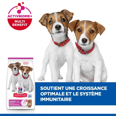 Hill`s Science Plan Puppy Small et Mini agneau et riz