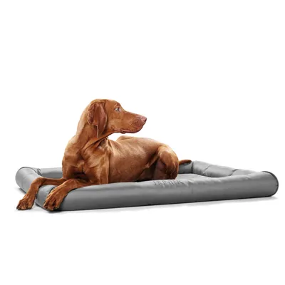 Dog lying on grey padded dog bed. Product shows comfort and design of the bed.