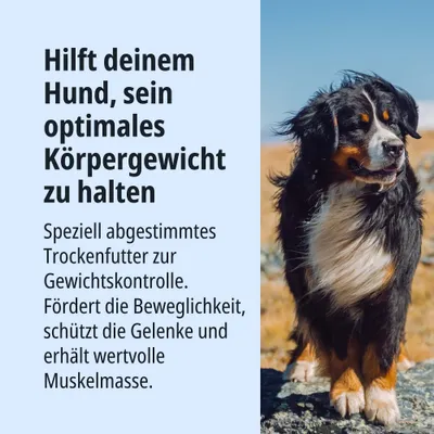 Hilft deinem Hund, sein optimales Körpergewicht zu halten. Trockenfutter zur Gewichtskontrolle, fördert Beweglichkeit, schützt Gelenke und erhält Muskelmasse. Hilft deinem Hund, sein optimales Körpergewicht zu halten. Trockenfutter zur Gewichtskontrolle, fördert Beweglichkeit, schützt Gelenke und erhält Muskelmasse.