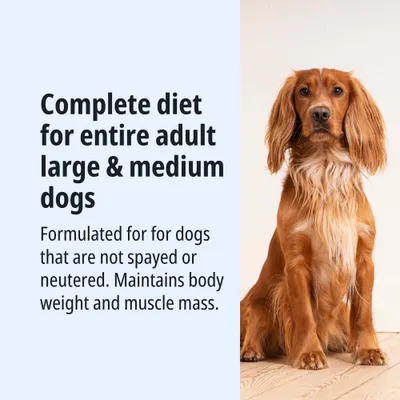 Complete nutrition for adult, large and medium-sized dogs. For non-neutered dogs. Maintains body weight and muscle mass. Complete nutrition for adult, large and medium-sized dogs. For non-neutered dogs. Maintains body weight and muscle mass.
