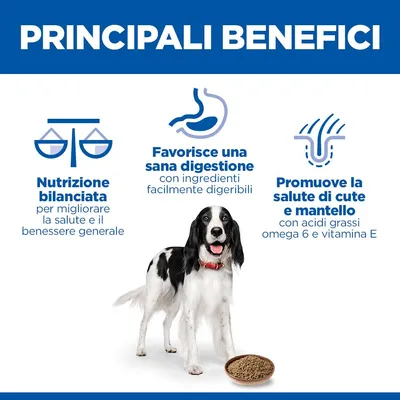 Hill's Science Plan Adult 1-6