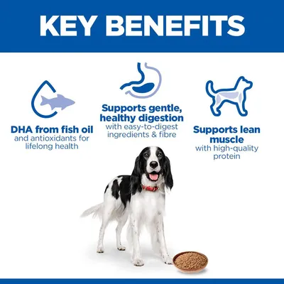 Hill's Science Plan Adult