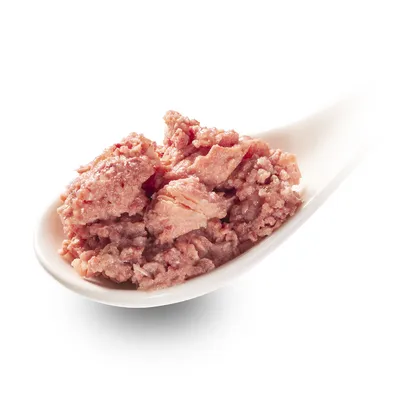 Nahaufnahme von zerkleinertem Nassfutter auf einem weissen Löffel, zeigt die Konsistenz des Futters.
