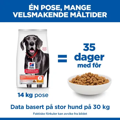 Hill's Science Plan Perfect Digestion Adult Large med kylling & brun ris
