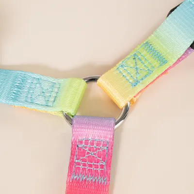 TIAKI Rainbow Σαμαράκι