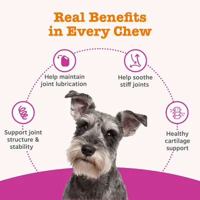 Zesty Paws Hip & Joint Chews Mobility - Turkey - dog supplements - 50 Chews Zesty Paws Hip & Joint Chews Mobility - Turkey - dog supplements - 50 Chews