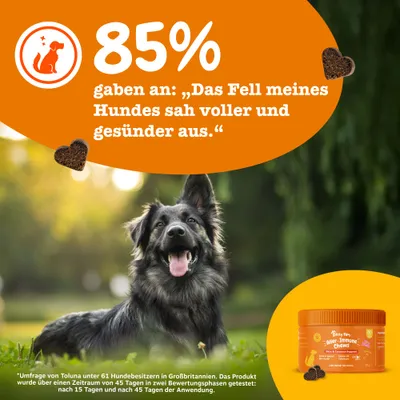 Zesty Paws Allergy & Immunity Chews Lachs