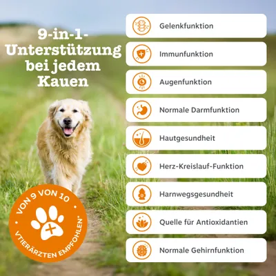 Zesty Paws Senior Advanced 9-in-1 Chews Truthahn