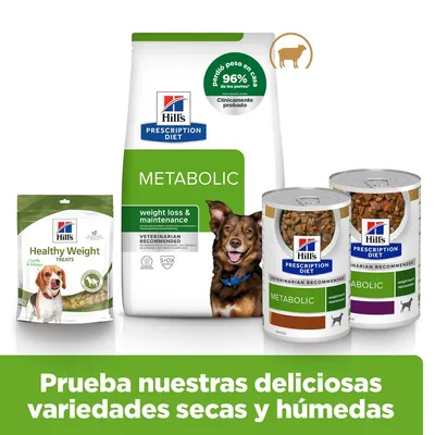 Hill's Metabolic con cordero Prescription Diet pienso para perros