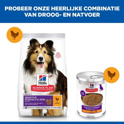 Hill's Science Plan Adult Sensitive Stomach & Skin pour chien