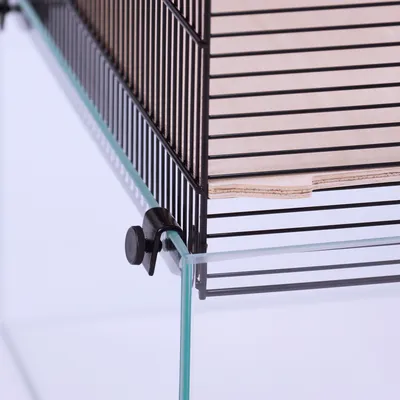 Close-up view of a cage with metal mesh walls, plexiglass base and wooden platform. Fastening elements visible.