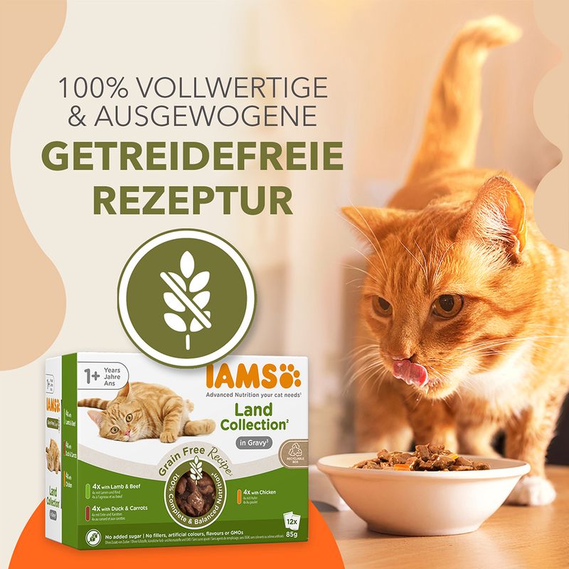 IAMS Advanced Nutrition Grain Free Land Collection in Sauce