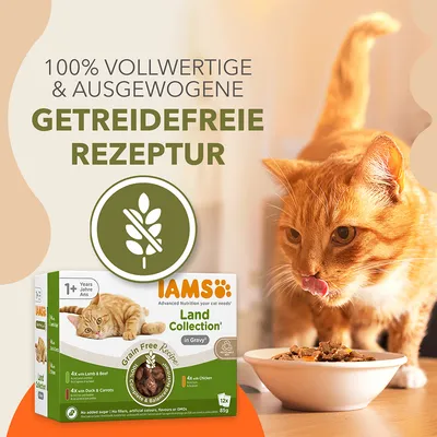 IAMS Advanced Nutrition Grain Free Land Collection în sos