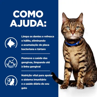 Hill's Prescription Diet t/d Dental Care com frango ração para gatos