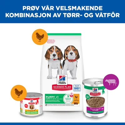 Hill's Science Plan Puppy