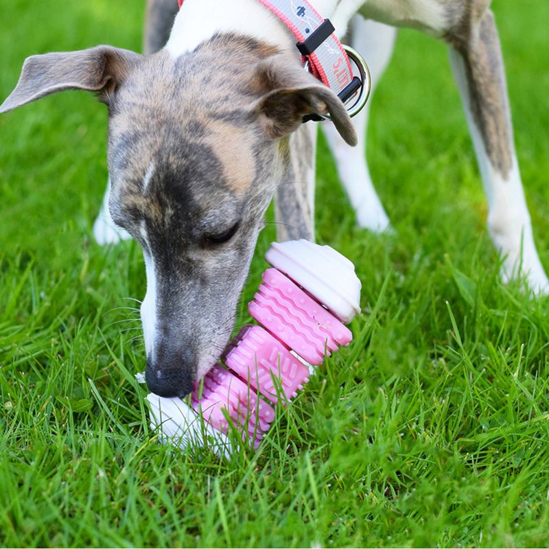 Bobby Hundespielzeug Onigiri