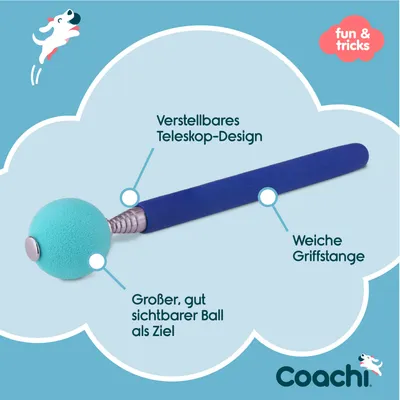 Coachi Target Stick