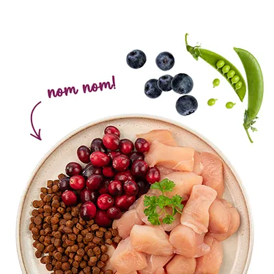 Teller mit Trockenfutter, rohem Hühnerfleisch, Cranberrys, Blaubeeren und Erbsenschote. Text: nom nom! Teller mit Trockenfutter, rohem Hühnerfleisch, Cranberrys, Blaubeeren und Erbsenschote. Text: nom nom!
