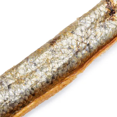 Nahaufnahme eines getrockneten Fischsnacks mit silberner Schuppenstruktur, geeignet als Tierfutter oder Leckerli.