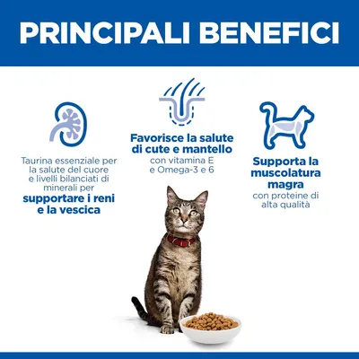 Hill's Science Plan Adult 1-6 Salmone