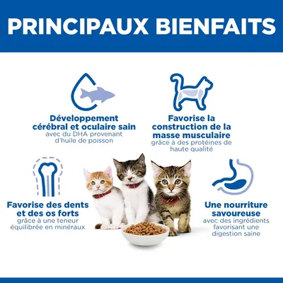 Hill's Science Plan Kitten <1 Saumon