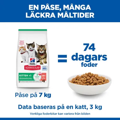 Hill's Science Plan Kitten <1 Salmon