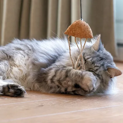 Beeztees Catnip Cat Fishing Rod Octopus Tako