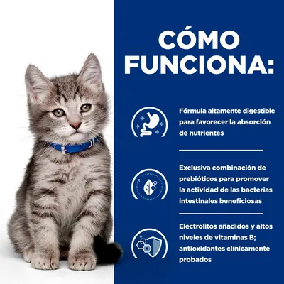 Hill's Prescription Diet i/d Digestive Care Kitten pollo en salsa