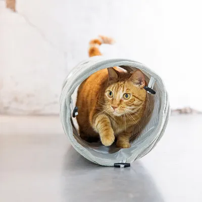 Designed by Lotte Tunnel per gatti