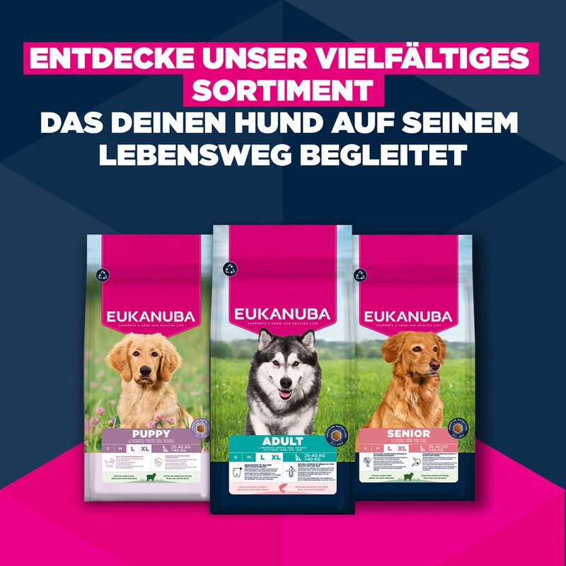 Eukanuba Premium Nutrition Senior Small Breed Huhn