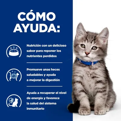 Hill's Prescription Diet i/d Digestive Care Kitten pollo