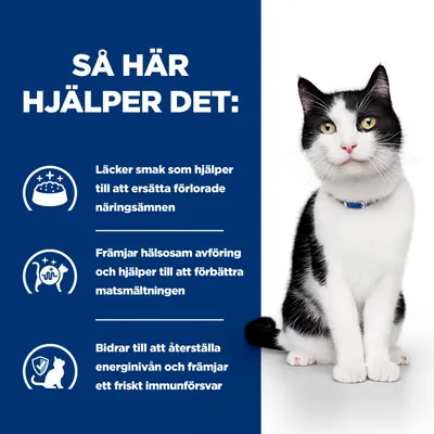 Så hjälper det: Läckra smaker ersätter förlorade näringsämnen, främjar en hälsosam avföring och matsmältning, samt stödjer energinivå och immunsystem.