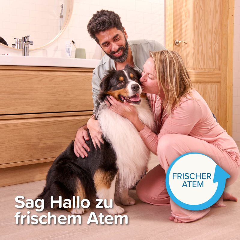 beaphar Zahnbürste für Hunde