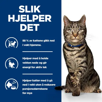 Hill's Prescription Diet Metabolic Vekt- & diabeteskontroll med laks Hill's Prescription Diet Metabolic Vekt- & diabeteskontroll med laks