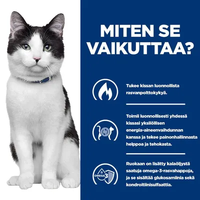Grafiikka, jossa on kissa ja kolme pistettä: Tukee luonnollista rasvanpolttoa, auttaa yksilöllisessä energiankulutuksessa, sisältää omega-3-rasvahappoja, glukosamiinia ja kondroitiinisulfaattia. Grafiikka, jossa on kissa ja kolme pistettä: Tukee luonnollista rasvanpolttoa, auttaa yksilöllisessä energiankulutuksessa, sisältää omega-3-rasvahappoja, glukosamiinia ja kondroitiinisulfaattia.