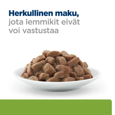 Kulhossa ruskeita lihapaloja kastikkeessa, päällä teksti: Herkullinen maku, jota lemmikit eivät voi vastustaa. Kulhossa ruskeita lihapaloja kastikkeessa, päällä teksti: Herkullinen maku, jota lemmikit eivät voi vastustaa.