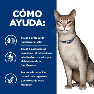 Cómo ayuda: Protege la función renal, controla los cambios en el microbioma intestinal causados por daños renales, apoya la regeneración natural y el mantenimiento de la masa muscular.