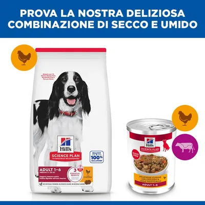 Hill's Science Plan Adult Stew