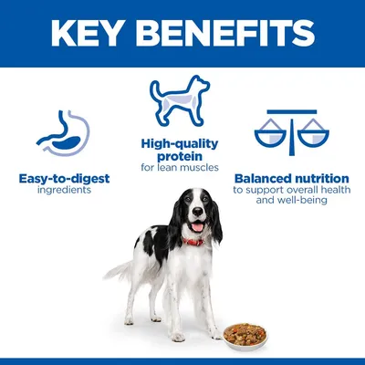 Hill's Science Plan Adult Stew