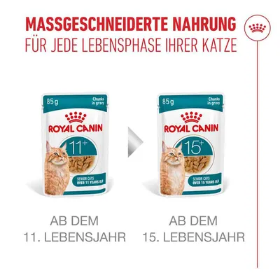 Royal Canin Ageing 11+ in Soße